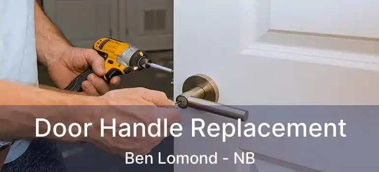  Door Handle Replacement Ben Lomond - NB