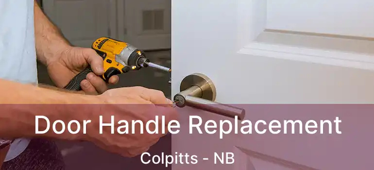  Door Handle Replacement Colpitts - NB