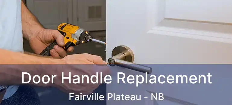  Door Handle Replacement Fairville Plateau - NB