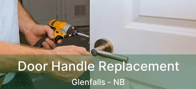  Door Handle Replacement Glenfalls - NB