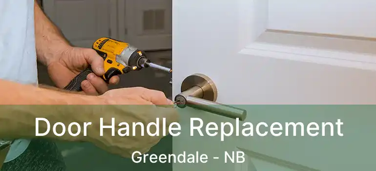  Door Handle Replacement Greendale - NB
