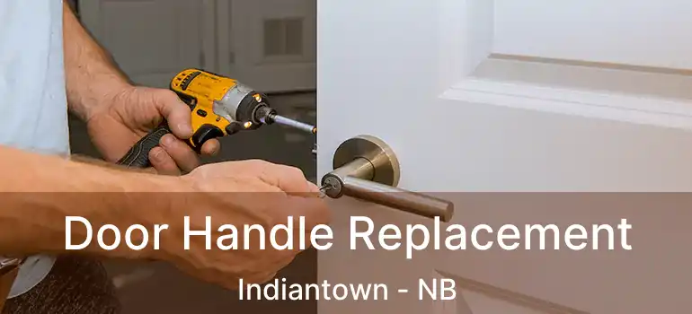  Door Handle Replacement Indiantown - NB