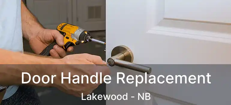  Door Handle Replacement Lakewood - NB