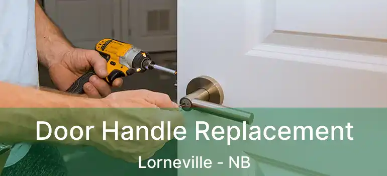  Door Handle Replacement Lorneville - NB