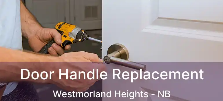  Door Handle Replacement Westmorland Heights - NB