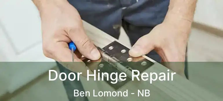  Door Hinge Repair Ben Lomond - NB