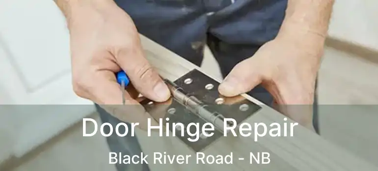  Door Hinge Repair Black River Road - NB