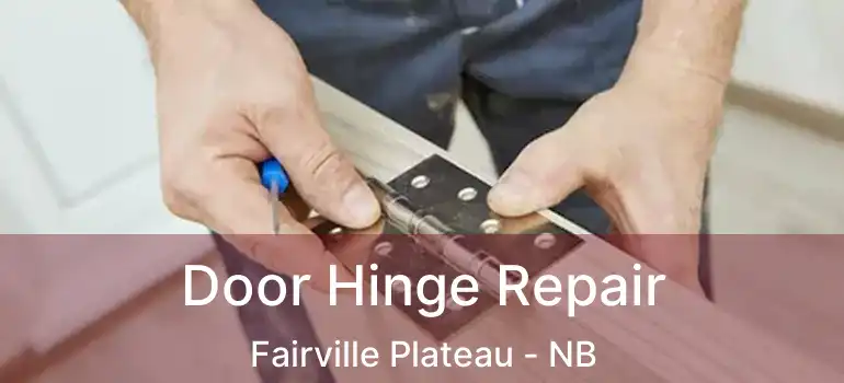  Door Hinge Repair Fairville Plateau - NB