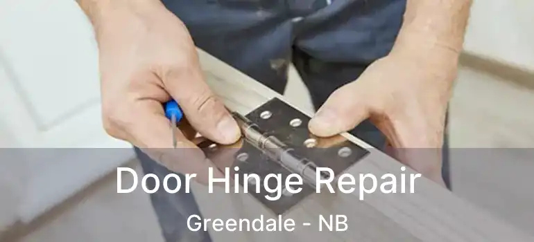  Door Hinge Repair Greendale - NB