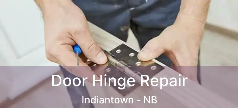  Door Hinge Repair Indiantown - NB