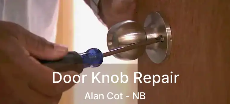  Door Knob Repair Alan Cot - NB