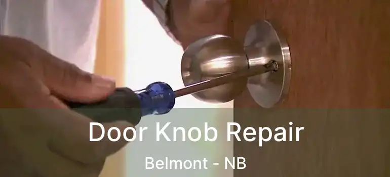  Door Knob Repair Belmont - NB