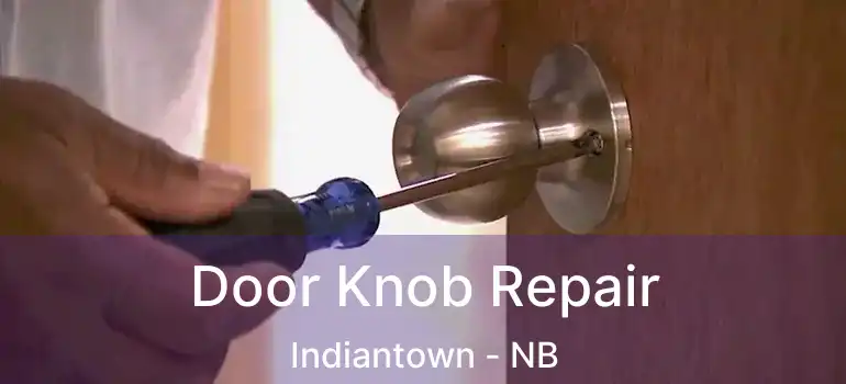  Door Knob Repair Indiantown - NB