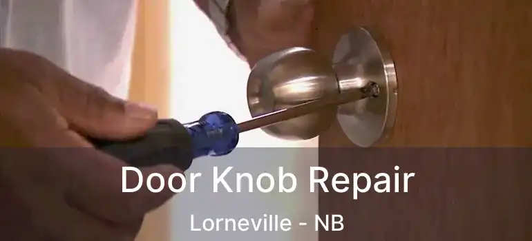  Door Knob Repair Lorneville - NB