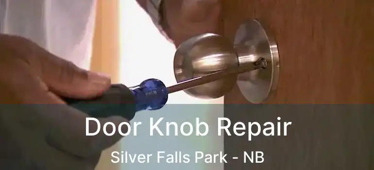  Door Knob Repair Silver Falls Park - NB