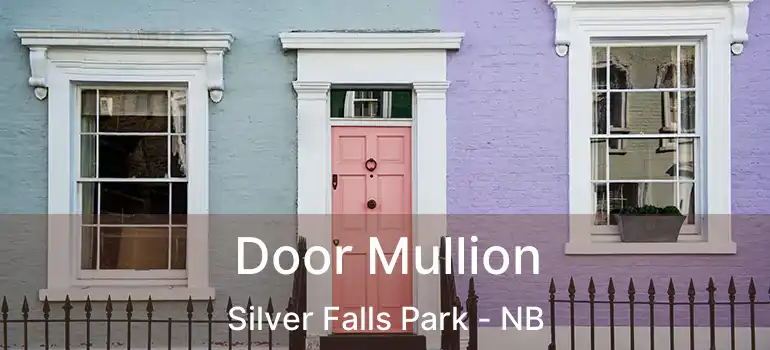  Door Mullion Silver Falls Park - NB