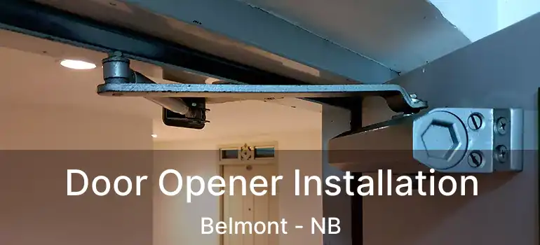 Door Opener Installation Belmont - NB