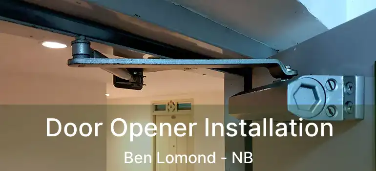  Door Opener Installation Ben Lomond - NB
