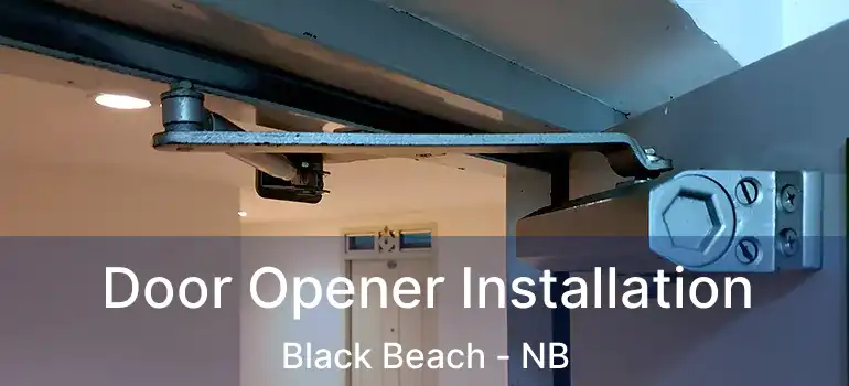  Door Opener Installation Black Beach - NB