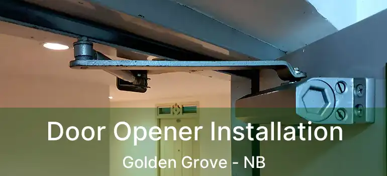  Door Opener Installation Golden Grove - NB