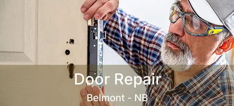  Door Repair Belmont - NB