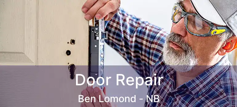  Door Repair Ben Lomond - NB