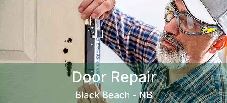  Door Repair Black Beach - NB