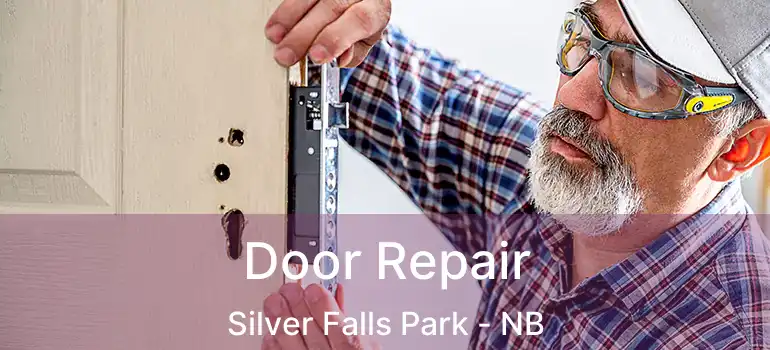  Door Repair Silver Falls Park - NB