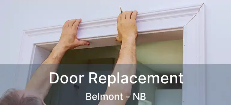  Door Replacement Belmont - NB