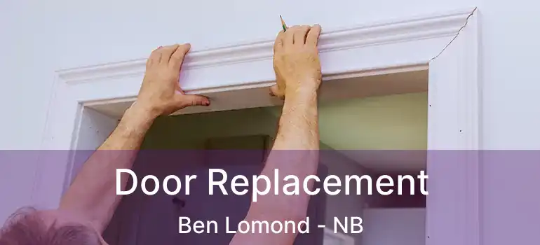  Door Replacement Ben Lomond - NB