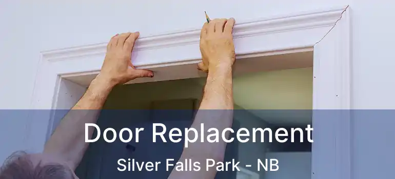  Door Replacement Silver Falls Park - NB