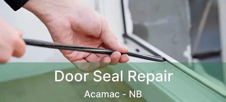  Door Seal Repair Acamac - NB