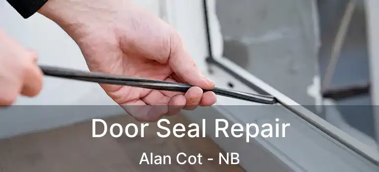  Door Seal Repair Alan Cot - NB