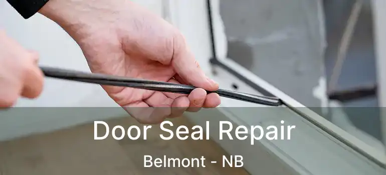  Door Seal Repair Belmont - NB