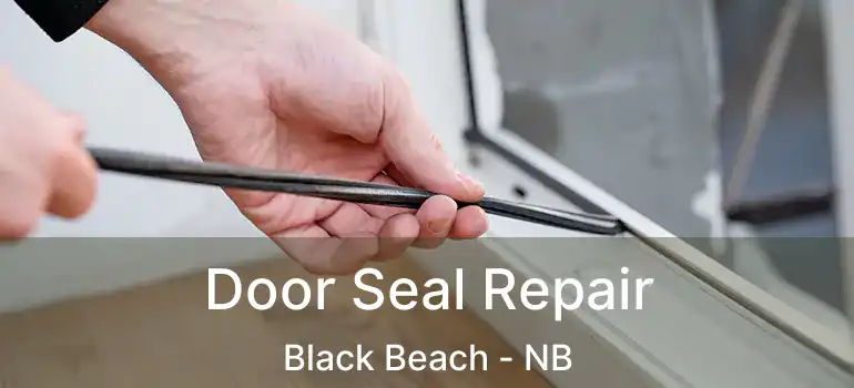  Door Seal Repair Black Beach - NB