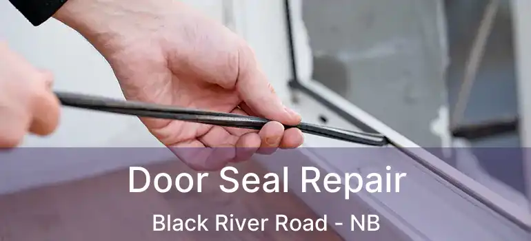  Door Seal Repair Black River Road - NB