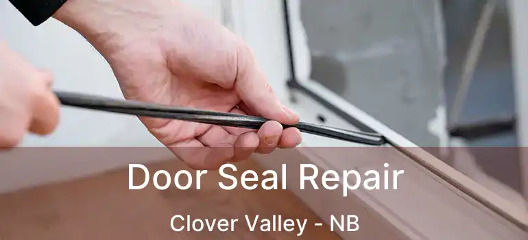  Door Seal Repair Clover Valley - NB