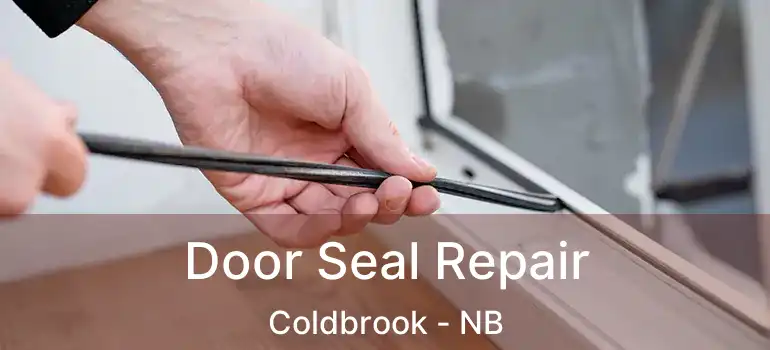  Door Seal Repair Coldbrook - NB