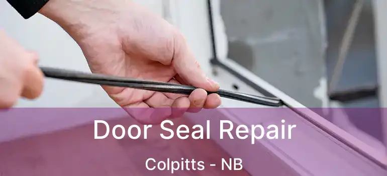  Door Seal Repair Colpitts - NB