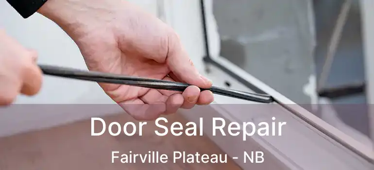  Door Seal Repair Fairville Plateau - NB