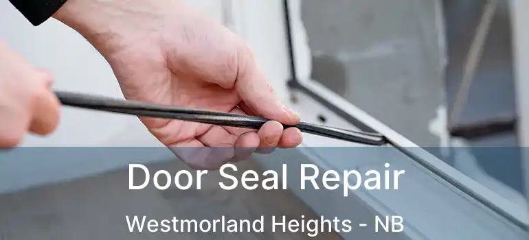  Door Seal Repair Westmorland Heights - NB