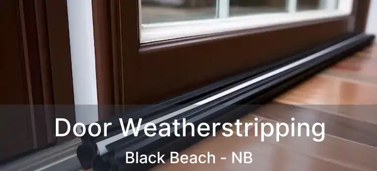  Door Weatherstripping Black Beach - NB