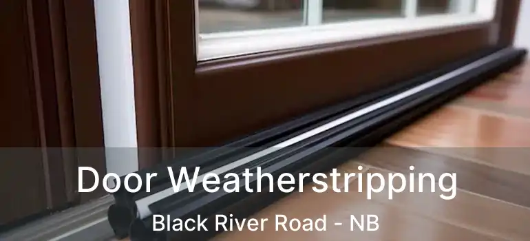  Door Weatherstripping Black River Road - NB
