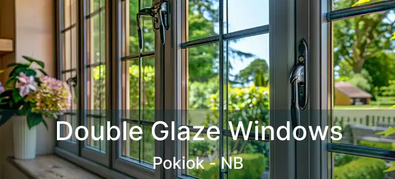  Double Glaze Windows Pokiok - NB
