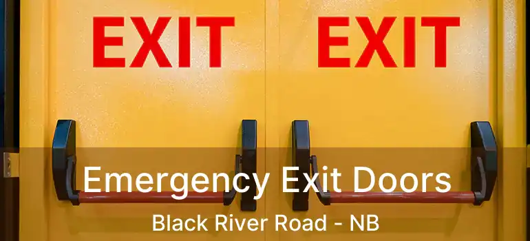  Emergency Exit Doors Black River Road - NB