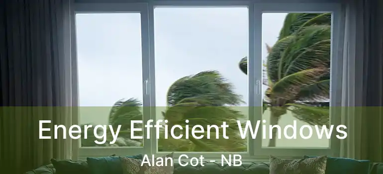  Energy Efficient Windows Alan Cot - NB