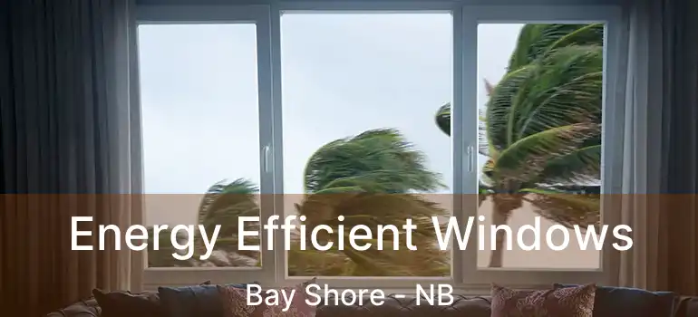  Energy Efficient Windows Bay Shore - NB