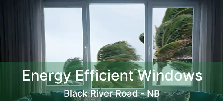  Energy Efficient Windows Black River Road - NB