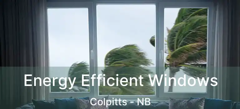  Energy Efficient Windows Colpitts - NB