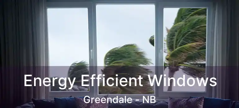  Energy Efficient Windows Greendale - NB